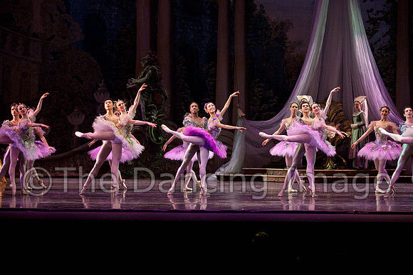 TB Sleeping Beauty Wed.-0114