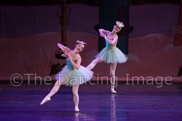 CPA Sun 2011-3583