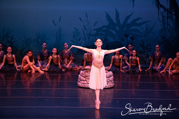 TDC La Bayadere pc Sharen Bradford-2528