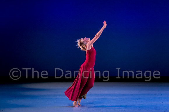Houston METdance-3101