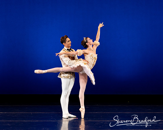 Texas Ballet Theater pc Sharen Bradford-1233