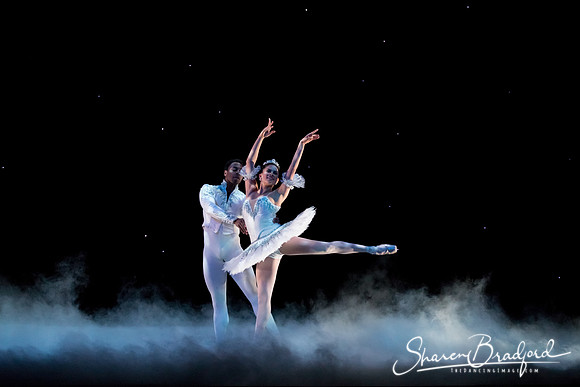 ASFB Nutcracker pc Sharen Bradford-0025