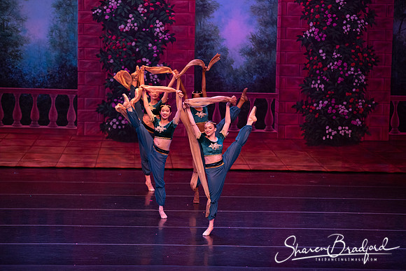 TDC La Bayadere pc Sharen Bradford-2728