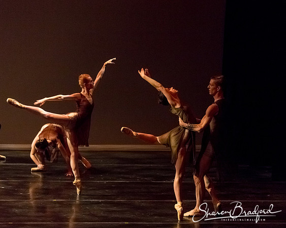 Ballet Dallas Seasons pc Sharen Bradford-1382