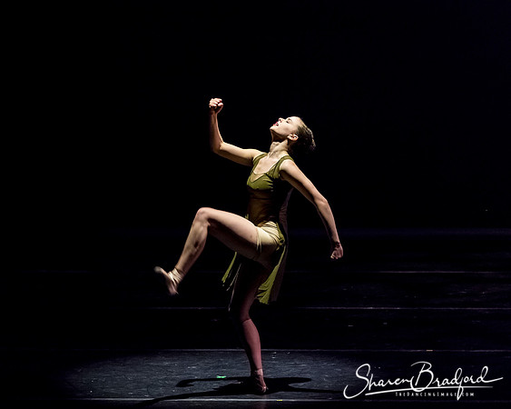Ballet Dallas Seasons pc Sharen Bradford-1347