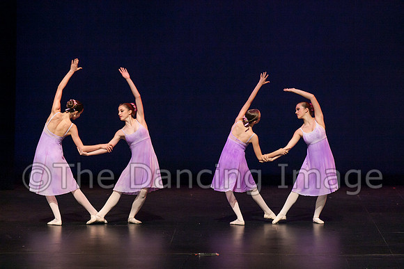 IMG_2351