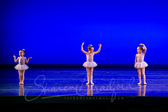 Water Lillies-0285