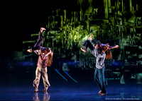 Motionhouse SCATTERED-0132