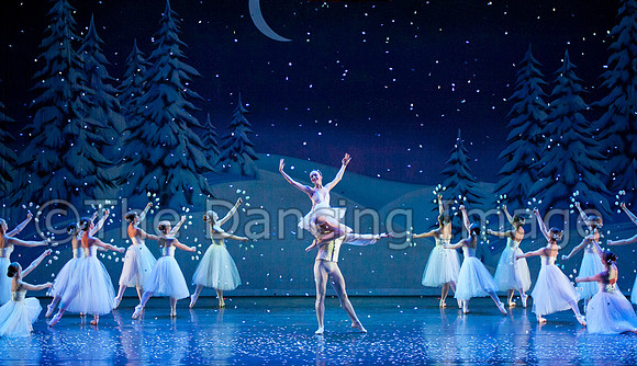 Snow 3269-