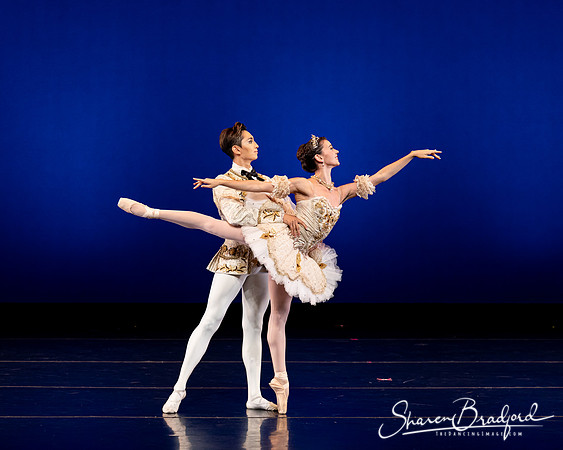 Texas Ballet Theater pc Sharen Bradford-1178