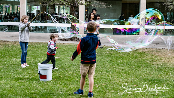 2019 Block Party pc Sharen Bradford-1910