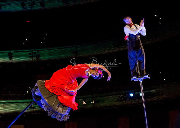 Swoon pc Sharen Bradford-8904