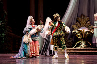 TB Sleeping Beauty Wed.-0010