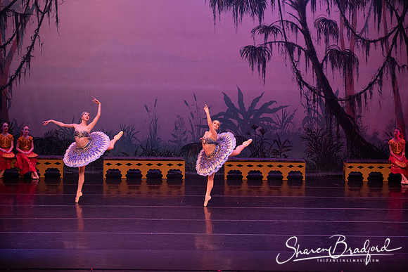TDC La Bayadere pc Sharen Bradford-3069