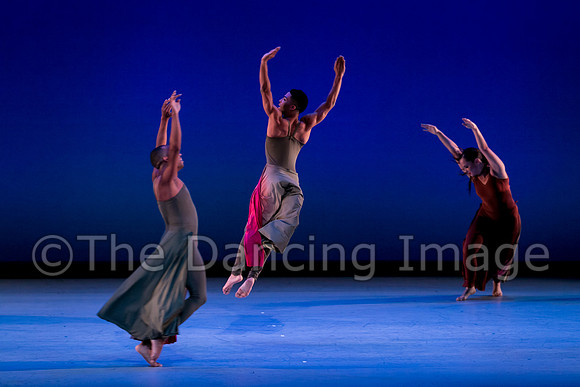 Houston METdance-3118