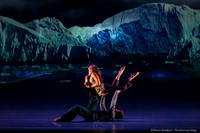 Motionhouse SCATTERED-0063