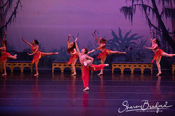 TDC La Bayadere pc Sharen Bradford-2982