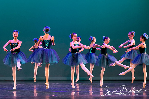 Khachaturian Waltz pc Sharen Bradford-3672
