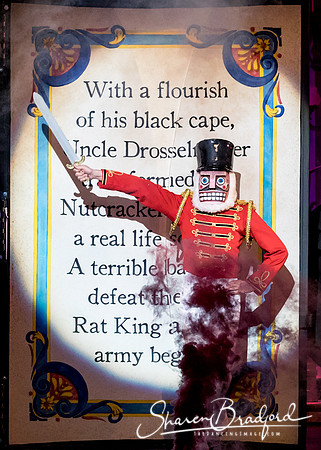 Nutcracker matinee pc Sharen Bradford-4787
