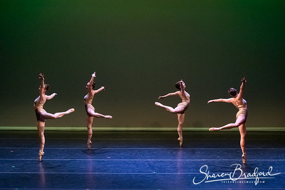 Ballet Dallas Seasons pc Sharen Bradford-1581