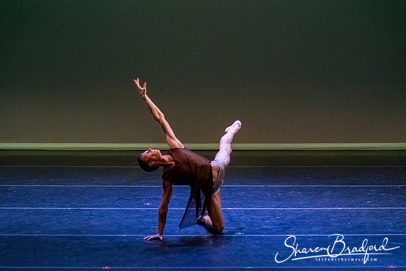 Ballet Dallas Seasons pc Sharen Bradford-1569