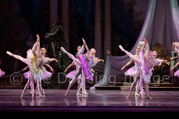 TB Sleeping Beauty Wed.-0108