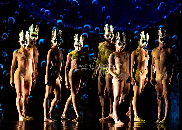 MOMIX Alice pc Sharen Bradford-0159