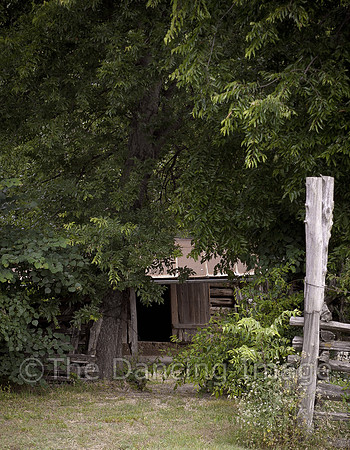 Penn Farm-0767
