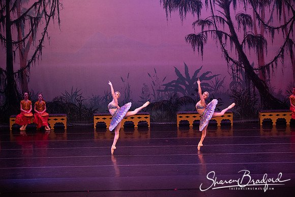 TDC La Bayadere pc Sharen Bradford-3077