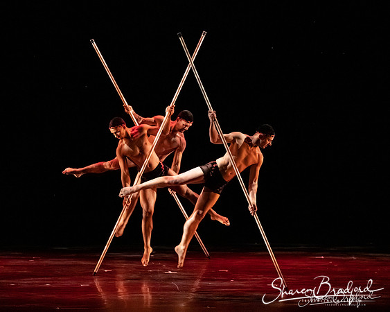 MOMIX Pole Dance pc Sharen Bradford-0250