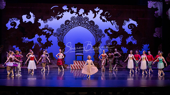 BNT Kingdom of Sweets pc Sharen Bradford-1173