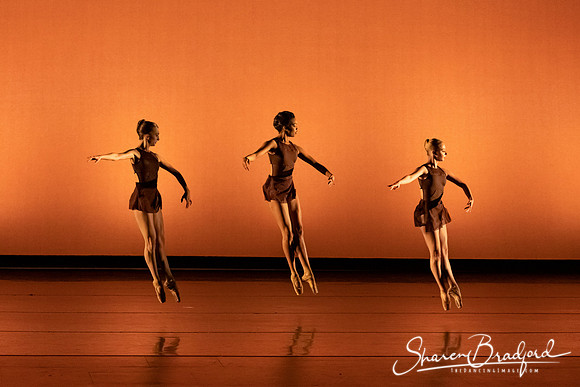 TBT Studio  pc Sharen Bradford-3950