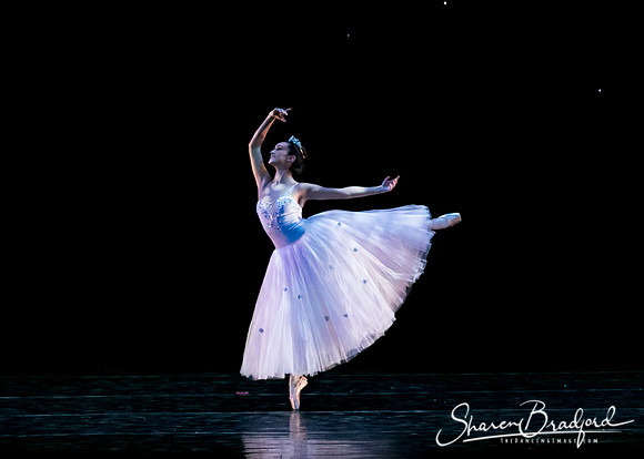 Nutcracker eve pc Sharen Bradford-6729