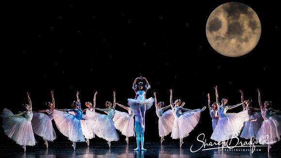 Nutcracker matinee pc Sharen Bradford-5195