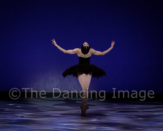 Olga Pavlova_The Dying Swan-3919