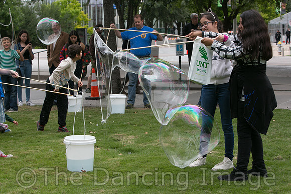 MJS_5195