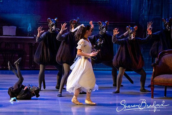CCBT Nutcracker 19 pc Sharen Bradford-4424