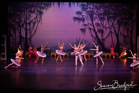 TDC La Bayadere pc Sharen Bradford-3202
