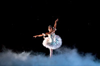 ASFB Nutcracker pc Sharen Bradford-0044