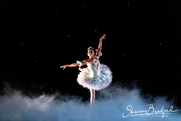 ASFB Nutcracker pc Sharen Bradford-0044