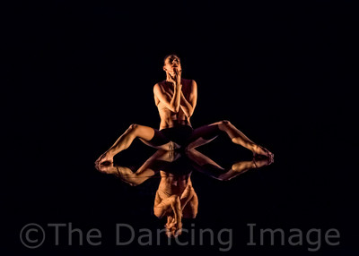 Echoes of Narcissus pc Sharen Bradford-0640