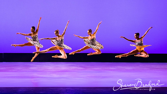 Ballet 37 pc Sharen Bradford-0395