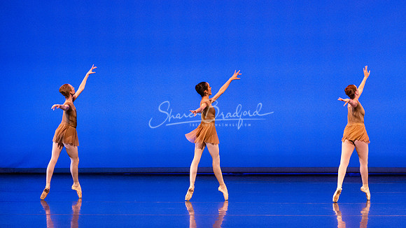 BNT Petit Symphonie pc Sharen Bradford-0341