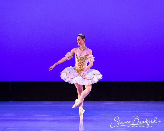 TBT Sleeping Beauty Pas pc Sharen Bradford-1521
