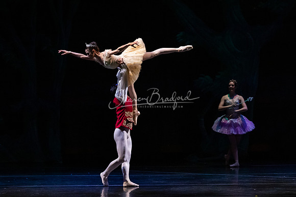 Ballet NTX Sleeping Beauty pc Sharen Bradford-1246