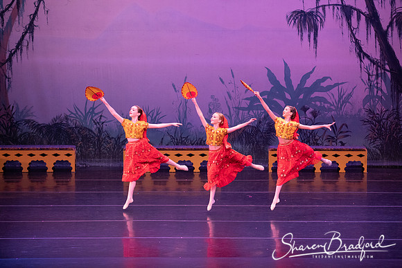 TDC La Bayadere pc Sharen Bradford-2897