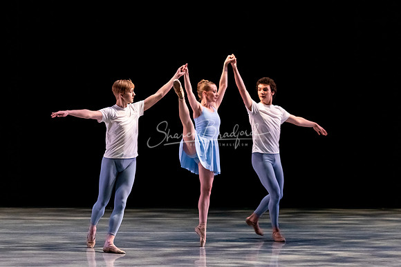 ACB Bartok Duets pc Sharen Bradford-0813