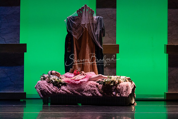 Ballet NTX Sleeping Beauty pc Sharen Bradford-1577