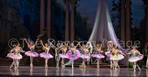 TB Sleeping Beauty Wed.-0029