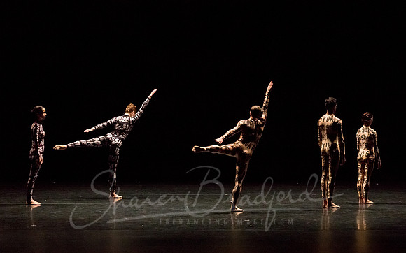 Petronio Dance_Hardness 10_ pc Sharen Bradford-7407
